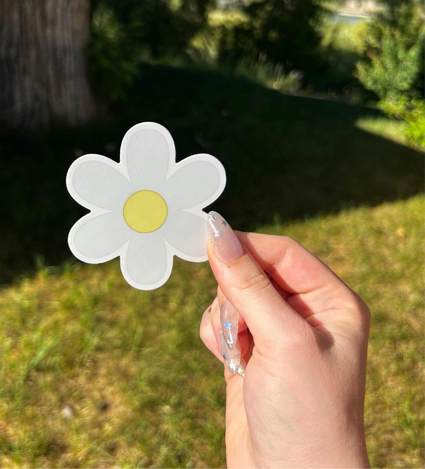 Six Petal Flower