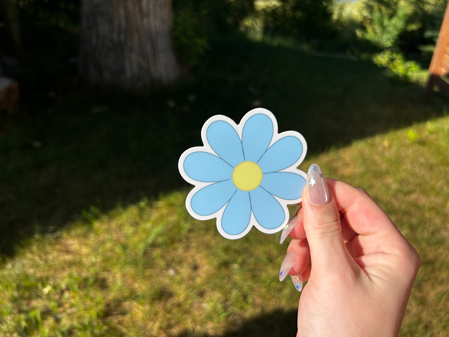 Eight Petal Flower