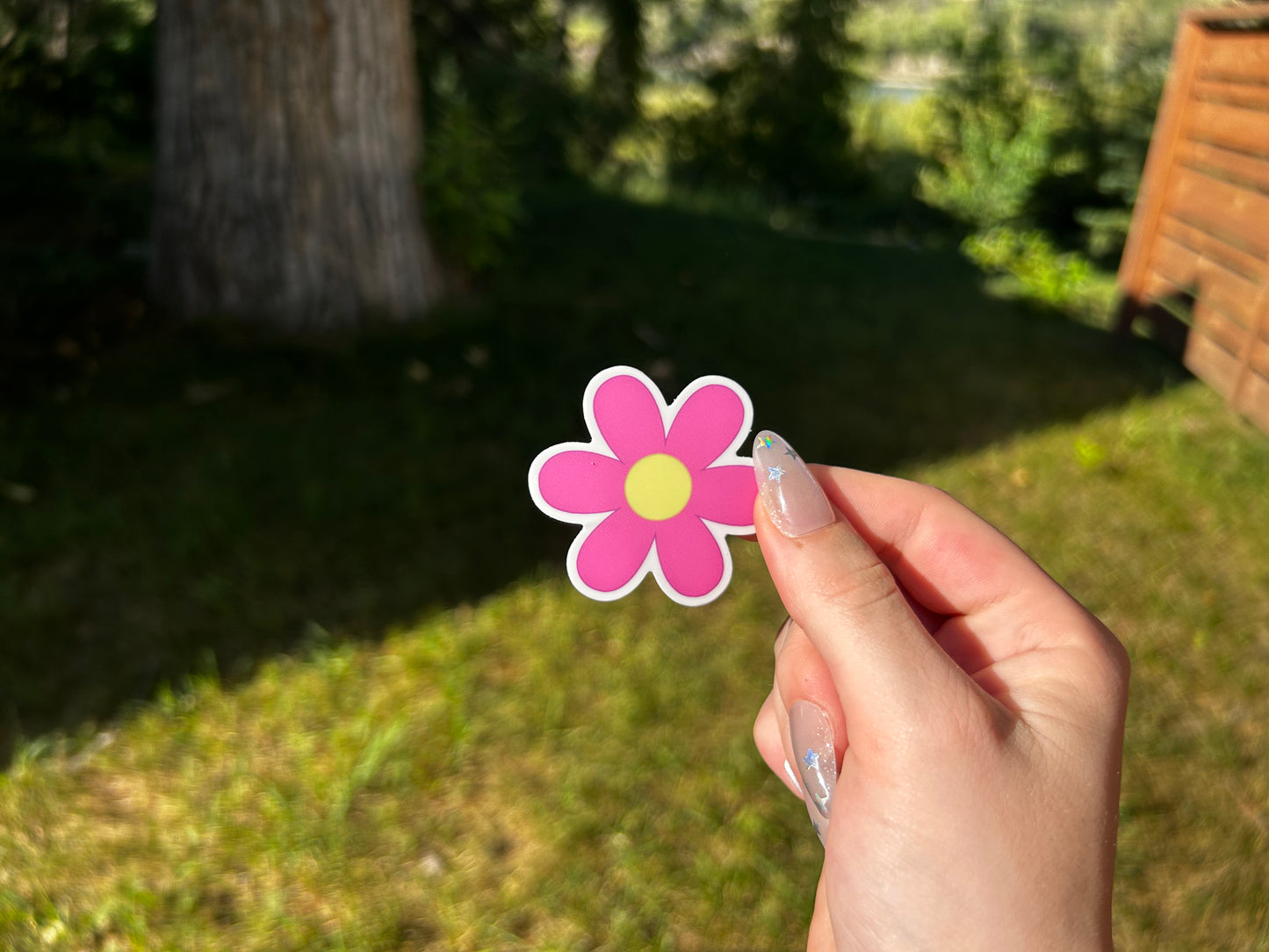 Six Petal Flower
