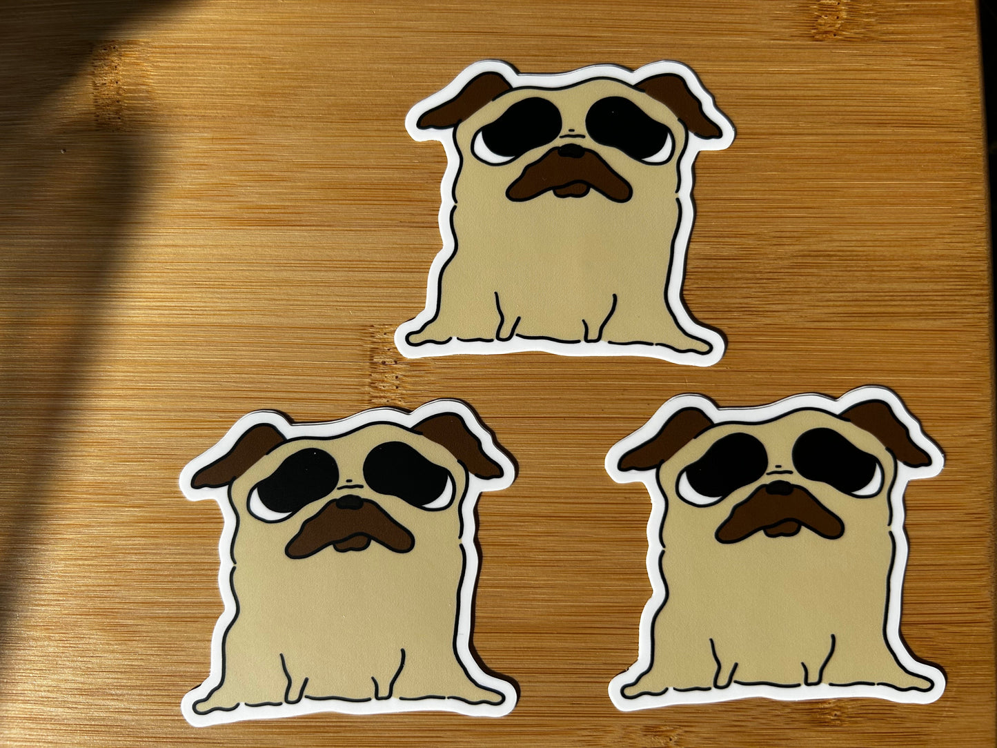 Puppy Eyed Pug