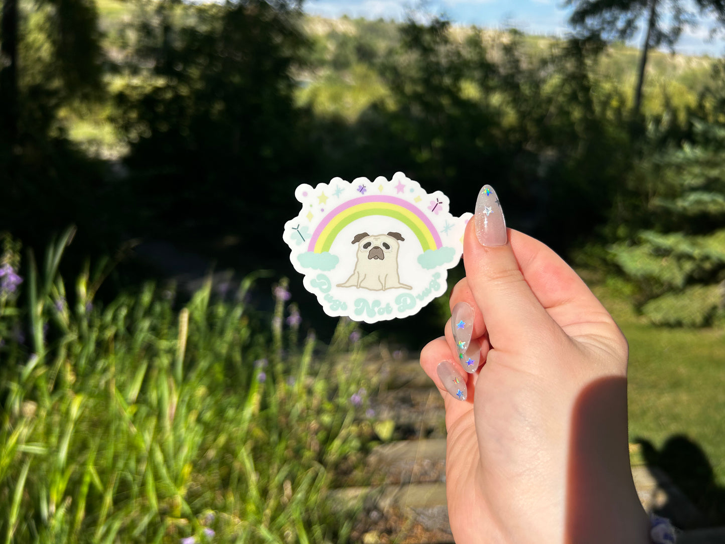 Pugs Not Drugs